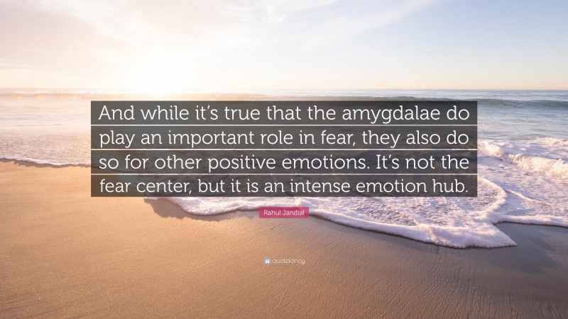 Rahul Jandial Quote: “And while it’s true that the amygdalae do play an important role in fear, they also do so for other positive emotions. It’s not the fear center, but it is an intense emotion hub.”