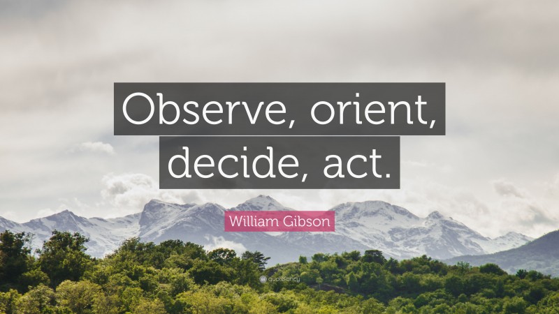 William Gibson Quote: “Observe, orient, decide, act.”