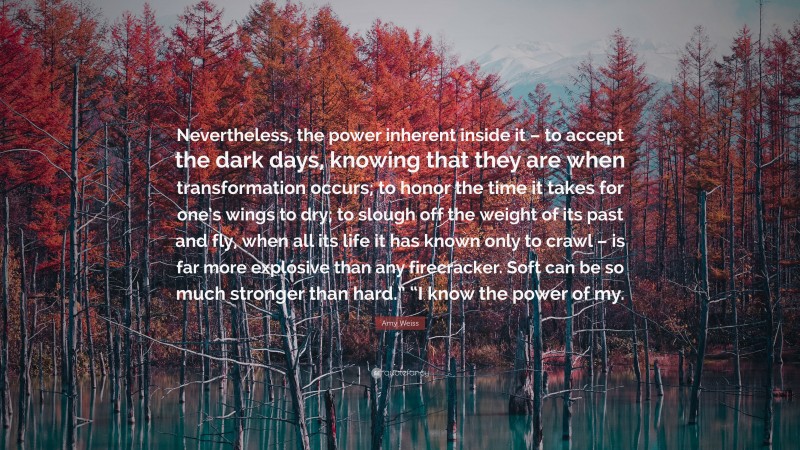 Amy Weiss Quote: “Nevertheless, the power inherent inside it – to accept the dark days, knowing that they are when transformation occurs; to honor the time it takes for one’s wings to dry; to slough off the weight of its past and fly, when all its life it has known only to crawl – is far more explosive than any firecracker. Soft can be so much stronger than hard.” “I know the power of my.”