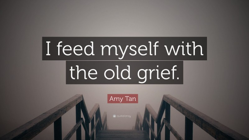 Amy Tan Quote: “I feed myself with the old grief.”