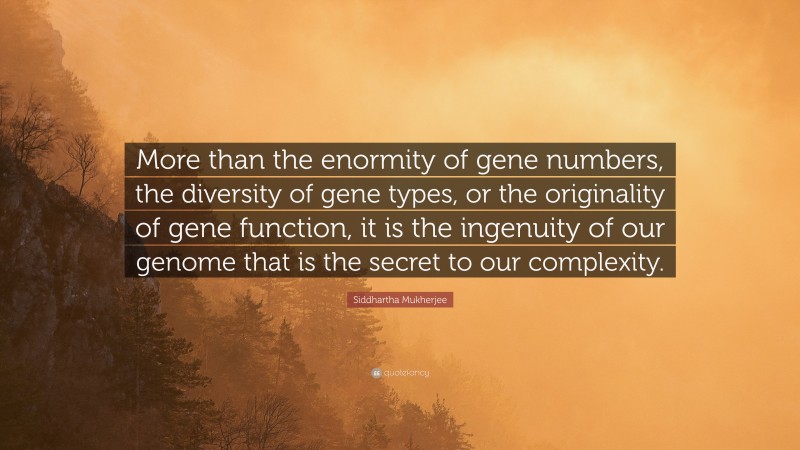 Siddhartha Mukherjee Quote: “More than the enormity of gene numbers, the diversity of gene types, or the originality of gene function, it is the ingenuity of our genome that is the secret to our complexity.”