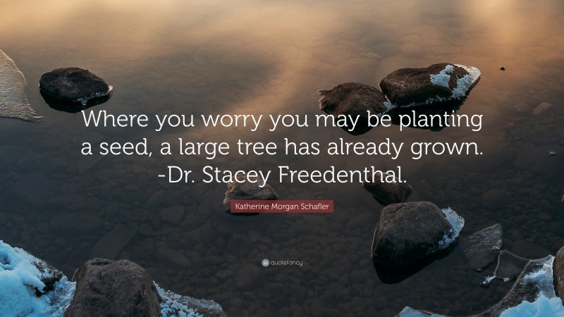 Katherine Morgan Schafler Quote: “Where you worry you may be planting a seed, a large tree has already grown. -Dr. Stacey Freedenthal.”