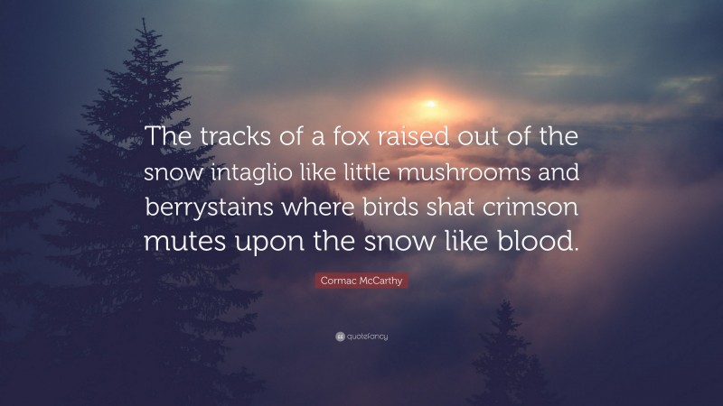 Cormac McCarthy Quote: “The tracks of a fox raised out of the snow intaglio like little mushrooms and berrystains where birds shat crimson mutes upon the snow like blood.”