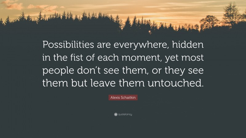 Alexis Schaitkin Quote: “Possibilities are everywhere, hidden in the fist of each moment, yet most people don’t see them, or they see them but leave them untouched.”