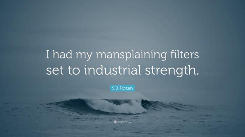 S.J. Rozan Quote: “I had my mansplaining filters set to industrial strength.”