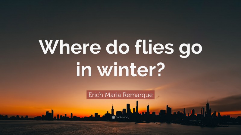 Erich Maria Remarque Quote: “Where do flies go in winter?”