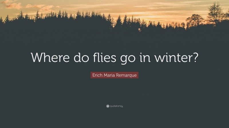 Erich Maria Remarque Quote: “Where do flies go in winter?”