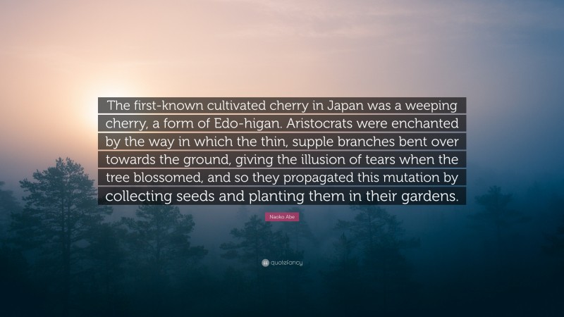 Naoko Abe Quote: “The first-known cultivated cherry in Japan was a weeping cherry, a form of Edo-higan. Aristocrats were enchanted by the way in which the thin, supple branches bent over towards the ground, giving the illusion of tears when the tree blossomed, and so they propagated this mutation by collecting seeds and planting them in their gardens.”