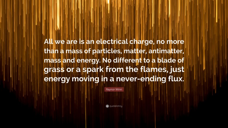 Raynor Winn Quote: “All we are is an electrical charge, no more than a mass of particles, matter, antimatter, mass and energy. No different to a blade of grass or a spark from the flames, just energy moving in a never-ending flux.”