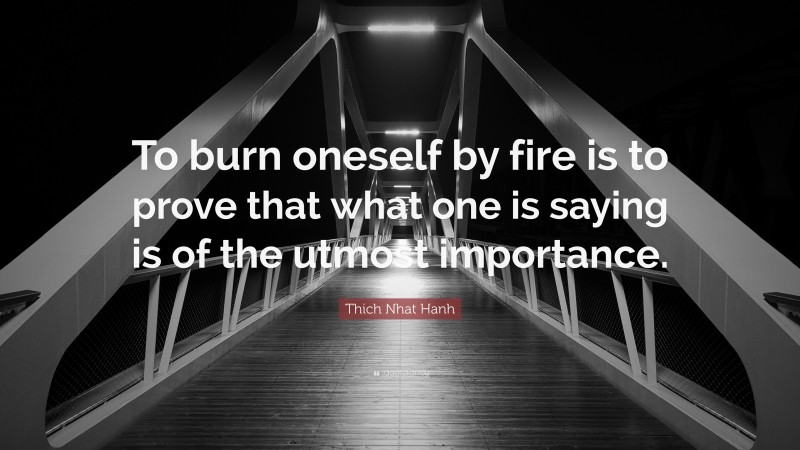 Thich Nhat Hanh Quote: “To burn oneself by fire is to prove that what one is saying is of the utmost importance.”