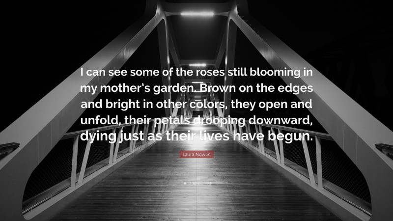 Laura Nowlin Quote: “I can see some of the roses still blooming in my mother’s garden. Brown on the edges and bright in other colors, they open and unfold, their petals drooping downward, dying just as their lives have begun.”