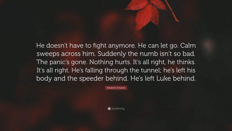 Elizabeth Schaefer Quote: “He doesn’t have to fight anymore. He can let go. Calm sweeps across him. Suddenly the numb isn’t so bad. The panic’s gone. Nothing hurts. It’s all right, he thinks. It’s all right. He’s falling through the tunnel; he’s left his body and the speeder behind. He’s left Luke behind.”