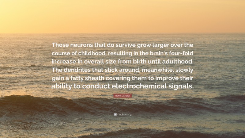 Rahul Jandial Quote: “Those neurons that do survive grow larger over the course of childhood, resulting in the brain’s four-fold increase in overall size from birth until adulthood. The dendrites that stick around, meanwhile, slowly gain a fatty sheath covering them to improve their ability to conduct electrochemical signals.”