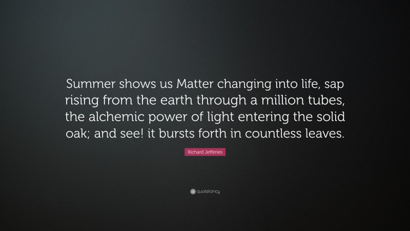 Richard Jefferies Quote: “Summer shows us Matter changing into life, sap rising from the earth through a million tubes, the alchemic power of light entering the solid oak; and see! it bursts forth in countless leaves.”