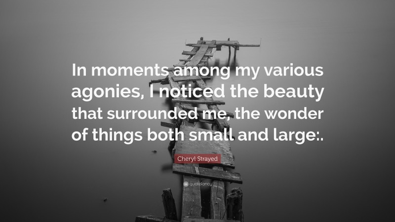 Cheryl Strayed Quote: “In moments among my various agonies, I noticed the beauty that surrounded me, the wonder of things both small and large:.”
