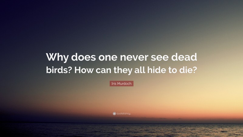 Iris Murdoch Quote: “Why does one never see dead birds? How can they all hide to die?”