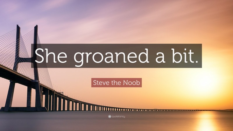 Steve the Noob Quote: “She groaned a bit.”