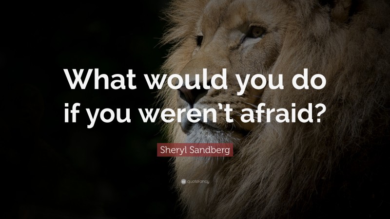 Sheryl Sandberg Quote: “What would you do if you weren’t afraid?”