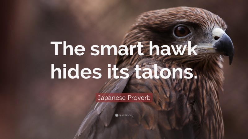 Japanese Proverb Quote: “The smart hawk hides its talons.”