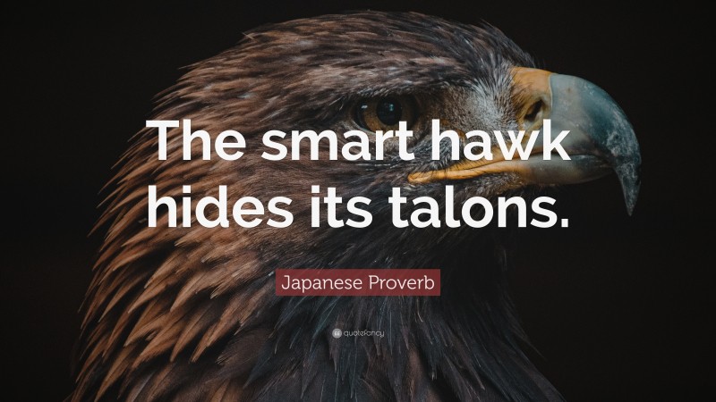 Japanese Proverb Quote: “The smart hawk hides its talons.”
