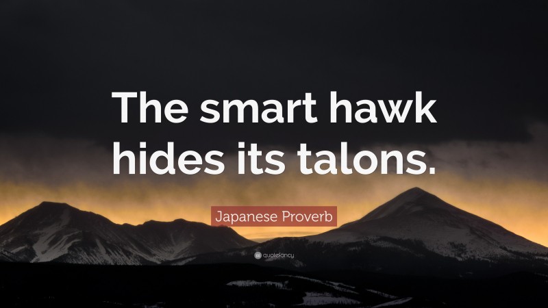 Japanese Proverb Quote: “The smart hawk hides its talons.”