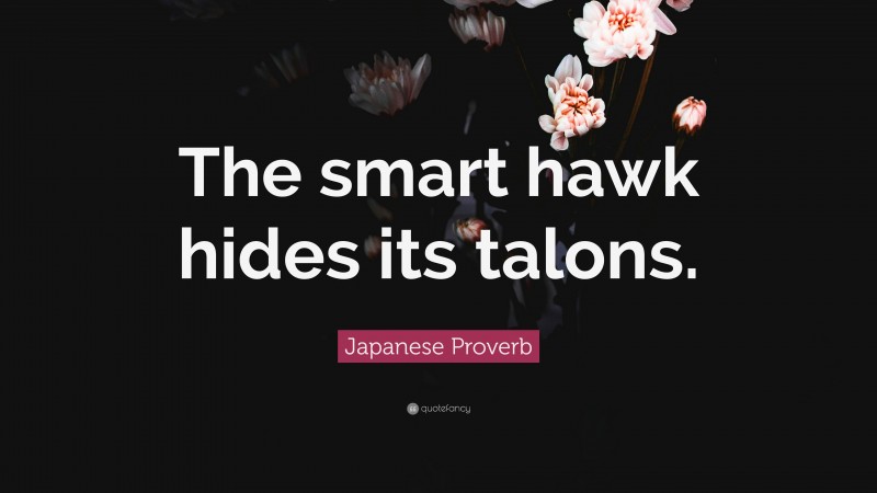 Japanese Proverb Quote: “The smart hawk hides its talons.”