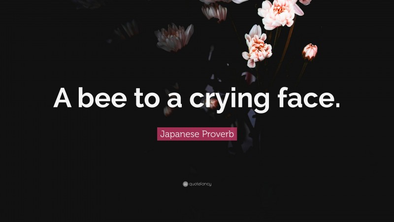 Japanese Proverb Quote: “A bee to a crying face.”