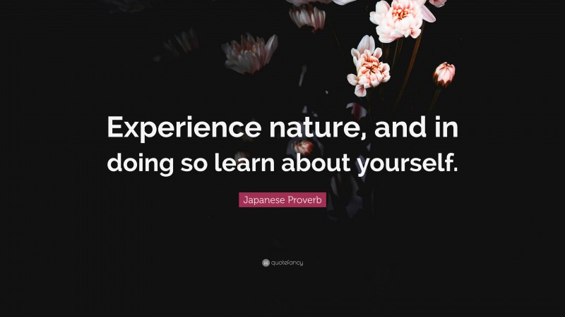 Japanese Proverb Quote: “Experience nature, and in doing so learn about yourself.”