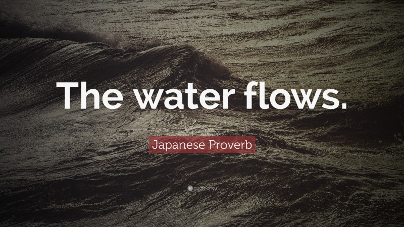 Japanese Proverb Quote: “The water flows.”
