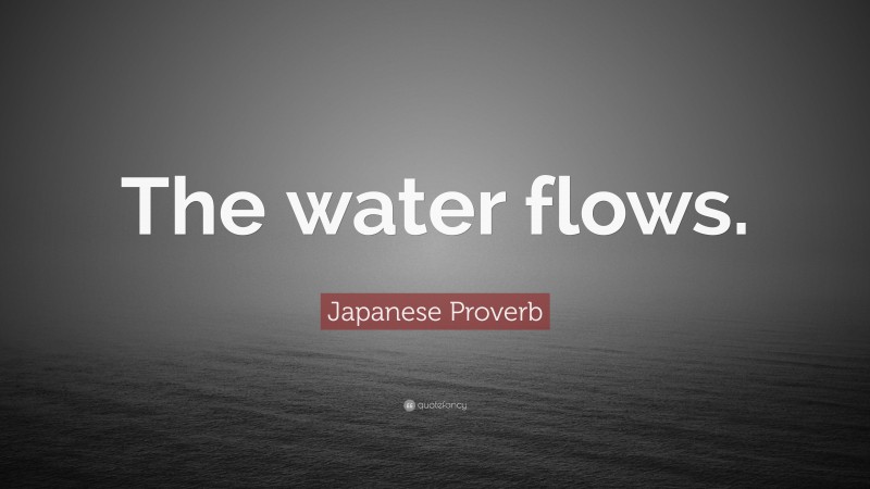 Japanese Proverb Quote: “The water flows.”