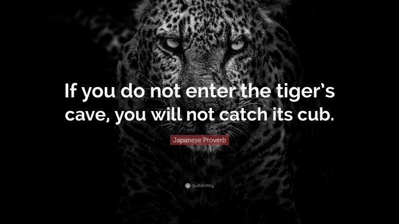 Japanese Proverb Quote: “If you do not enter the tiger’s cave, you will not catch its cub.”