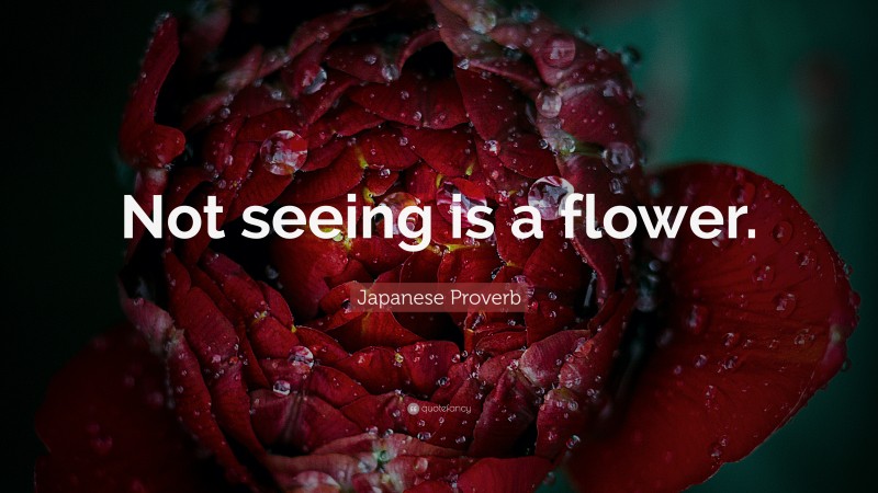 Japanese Proverb Quote: “Not seeing is a flower.”