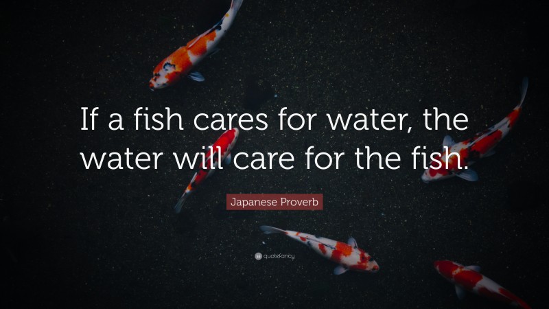 Japanese Proverb Quote: “If a fish cares for water, the water will care for the fish.”