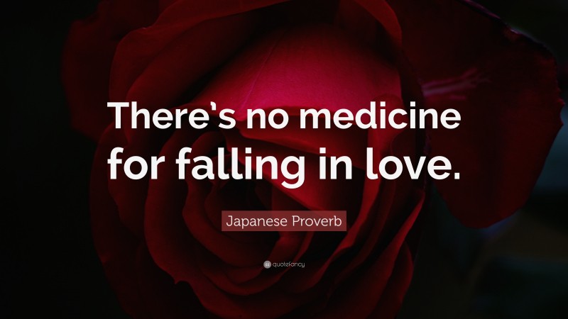 Japanese Proverb Quote: “There’s no medicine for falling in love.”