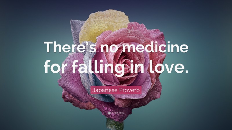 Japanese Proverb Quote: “There’s no medicine for falling in love.”