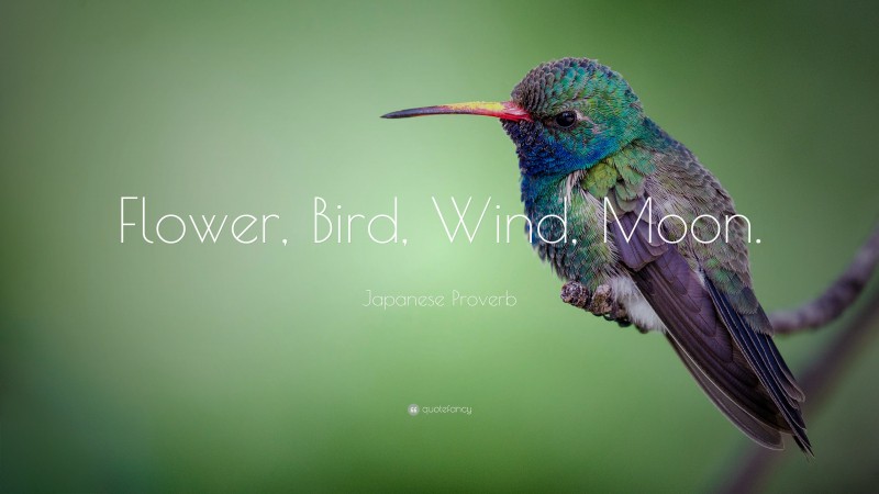 Japanese Proverb Quote: “Flower, Bird, Wind, Moon.”