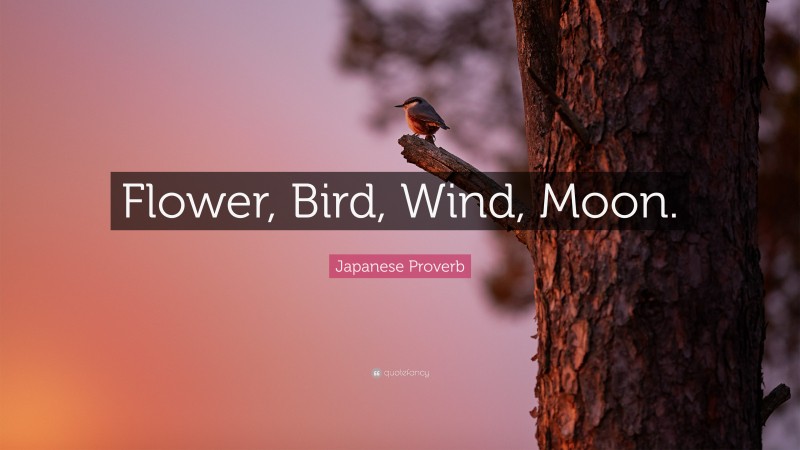 Japanese Proverb Quote: “Flower, Bird, Wind, Moon.”