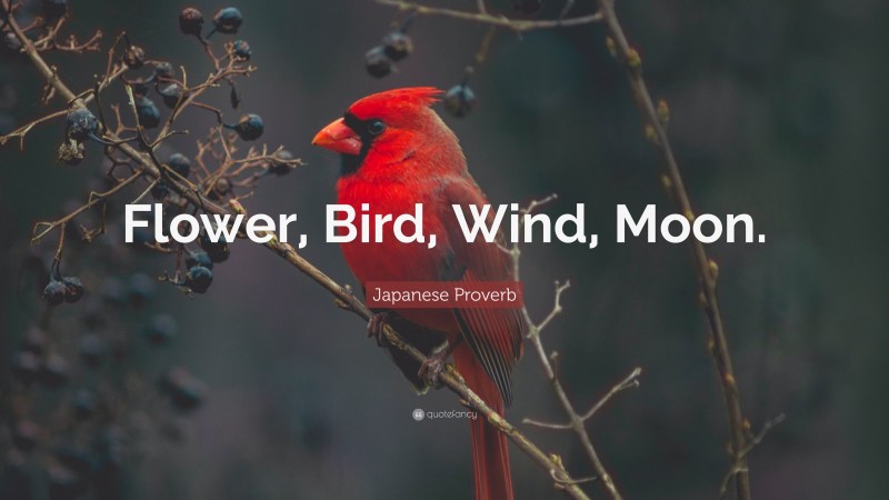 Japanese Proverb Quote: “Flower, Bird, Wind, Moon.”