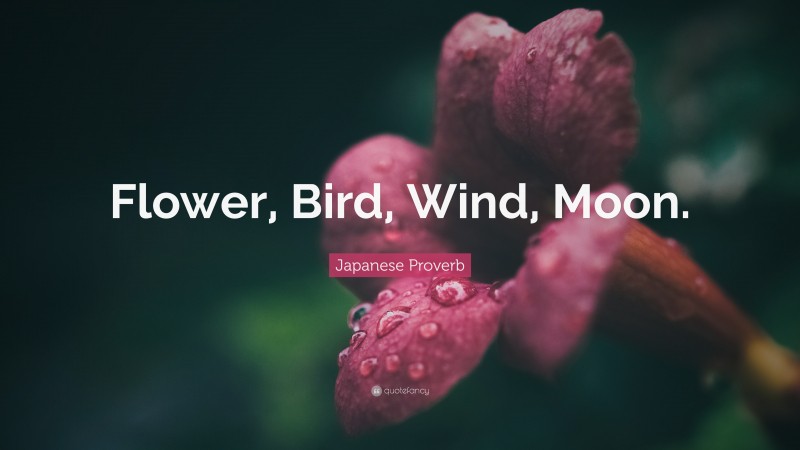 Japanese Proverb Quote: “Flower, Bird, Wind, Moon.”