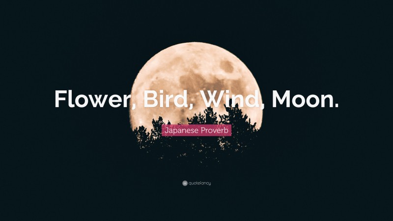 Japanese Proverb Quote: “Flower, Bird, Wind, Moon.”