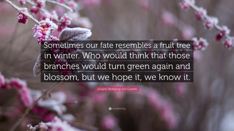 Johann Wolfgang von Goethe Quote: “Sometimes our fate resembles a fruit tree in winter. Who would think that those branches would turn green again and blossom, but we hope it, we know it.”