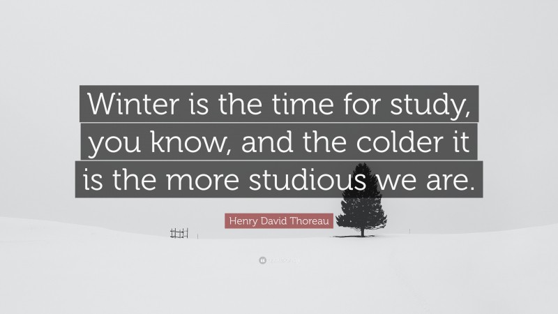 Henry David Thoreau Quote: “Winter is the time for study, you know, and the colder it is the more studious we are.”