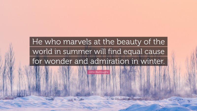 John Burroughs Quote: “He who marvels at the beauty of the world in summer will find equal cause for wonder and admiration in winter.”