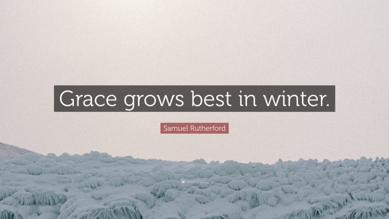 Samuel Rutherford Quote: “Grace grows best in winter.”