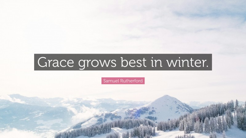 Samuel Rutherford Quote: “Grace grows best in winter.”