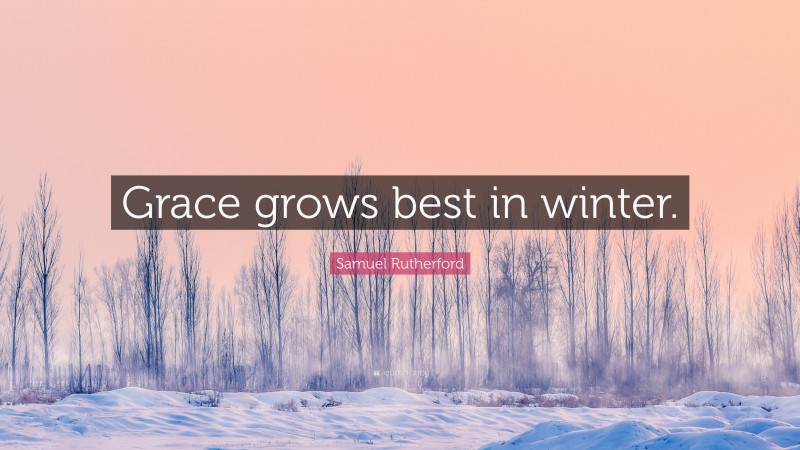 Samuel Rutherford Quote: “Grace grows best in winter.”