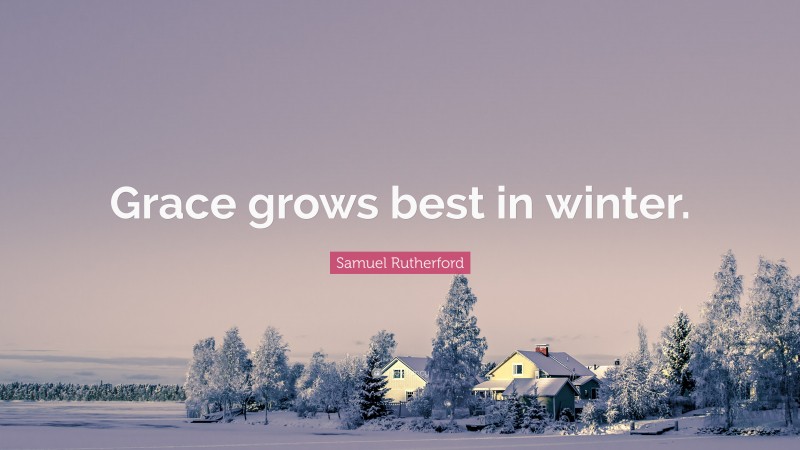 Samuel Rutherford Quote: “Grace grows best in winter.”