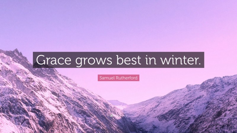Samuel Rutherford Quote: “Grace grows best in winter.”