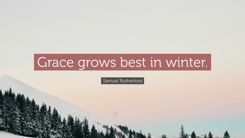 Samuel Rutherford Quote: “Grace grows best in winter.”