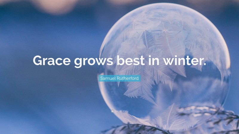 Samuel Rutherford Quote: “Grace grows best in winter.”